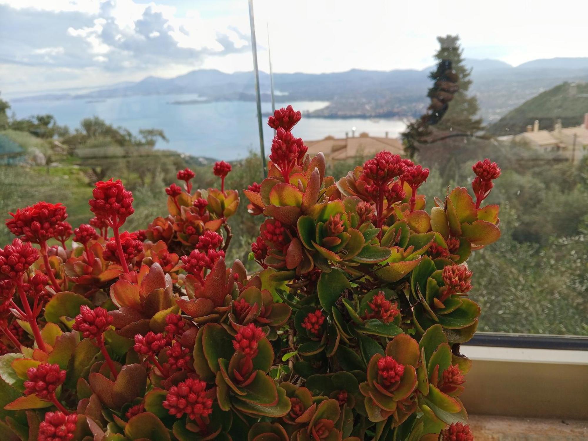 Rizaria Sea View House Villa Spartylas Buitenkant foto